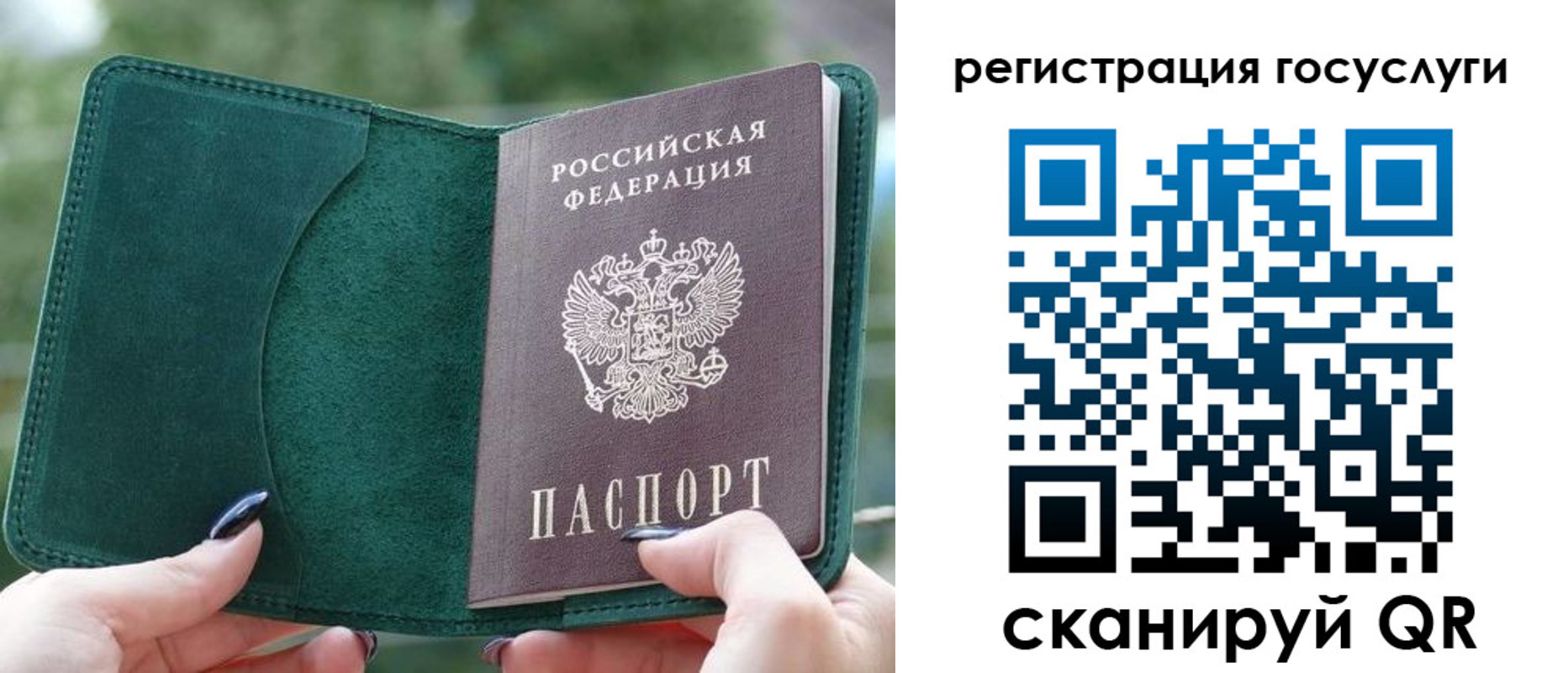 прописка в квартире в Фрязино